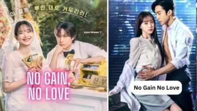 No Gain No Love