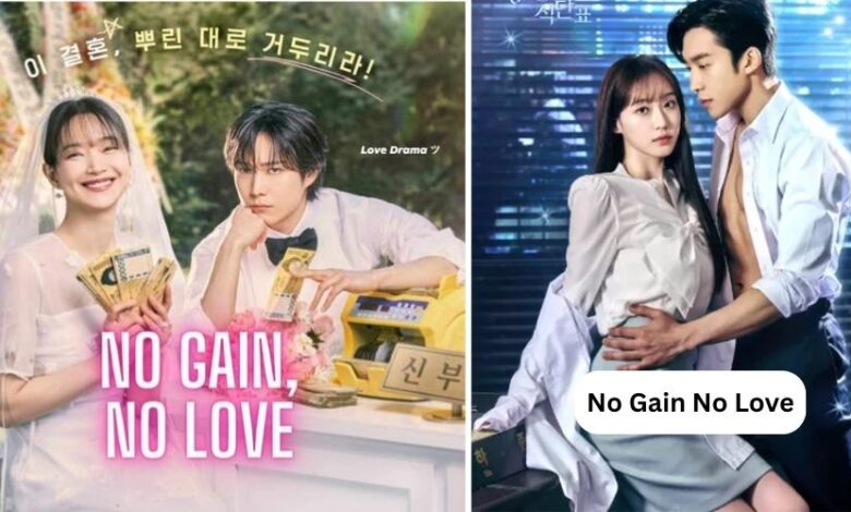 No Gain No Love