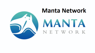 Manta Network
