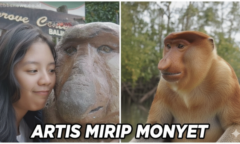 artis mirip monyet