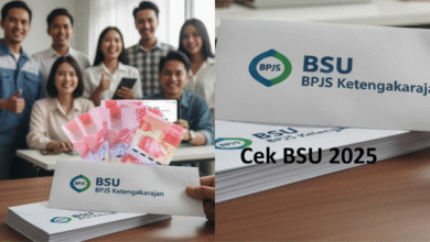 Cek BSU 2025