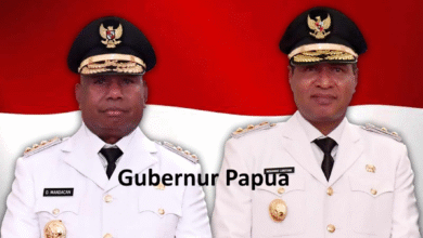 Gubernur Papua
