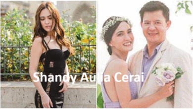 Shandy Aulia Cerai