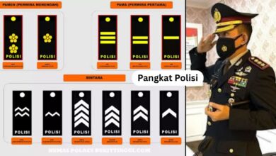 Pangkat Polisi