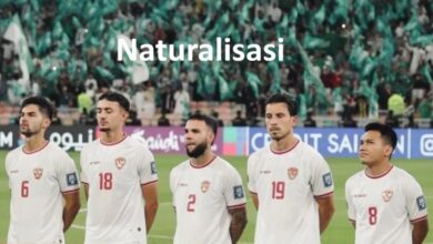 Naturalisasi