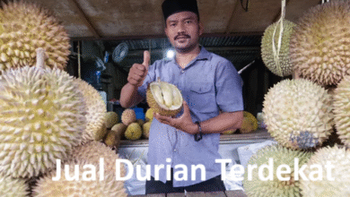 Jual Durian Terdekat