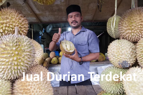 Jual Durian Terdekat