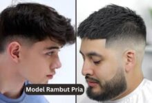 Model Rambut Pria