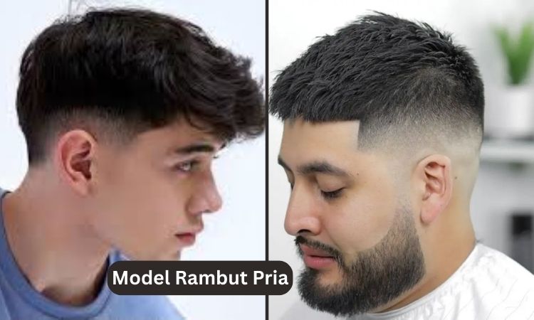 Model Rambut Pria
