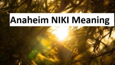 Anaheim NIKI Meaning