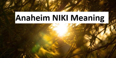 Anaheim NIKI Meaning