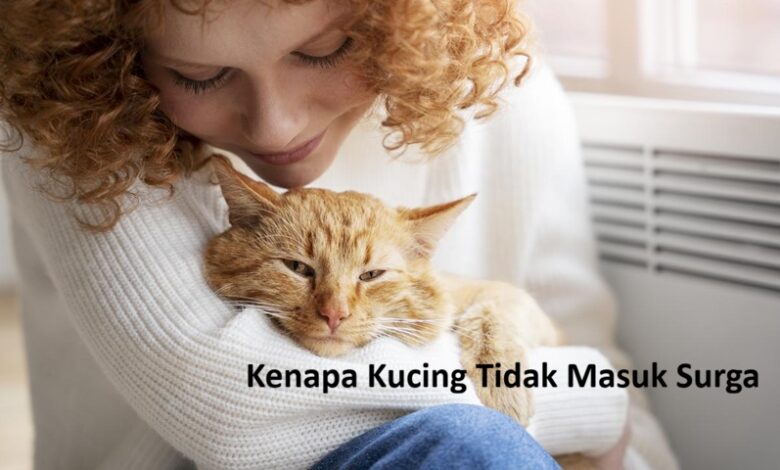 Kenapa Kucing Tidak Masuk Surga