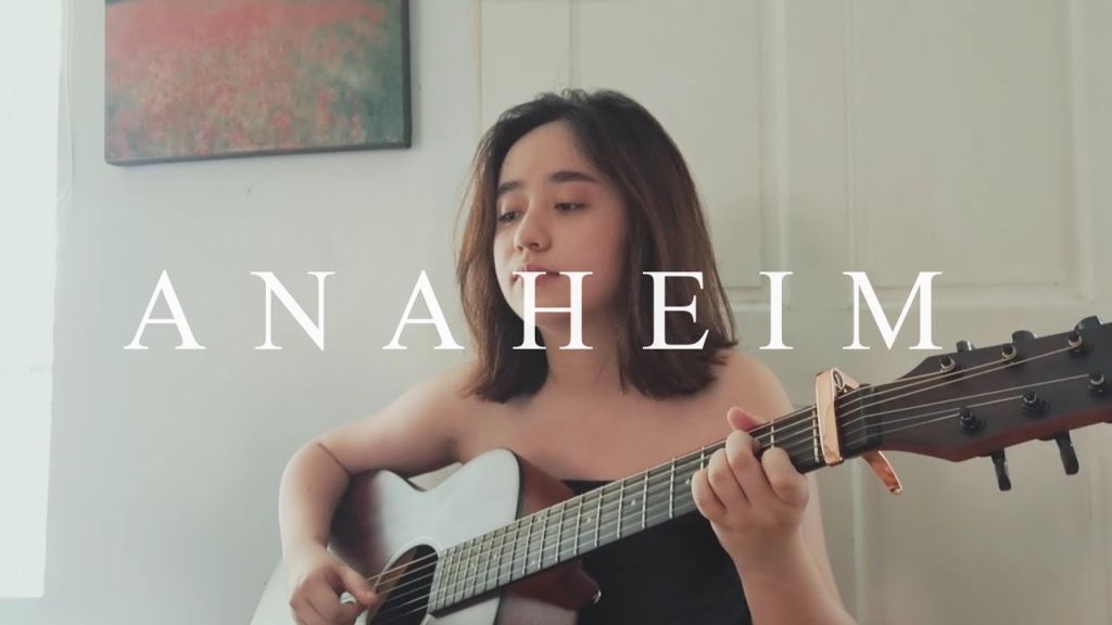 Anaheim NIKI Meaning