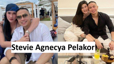 Stevie Agnecya Pelakor