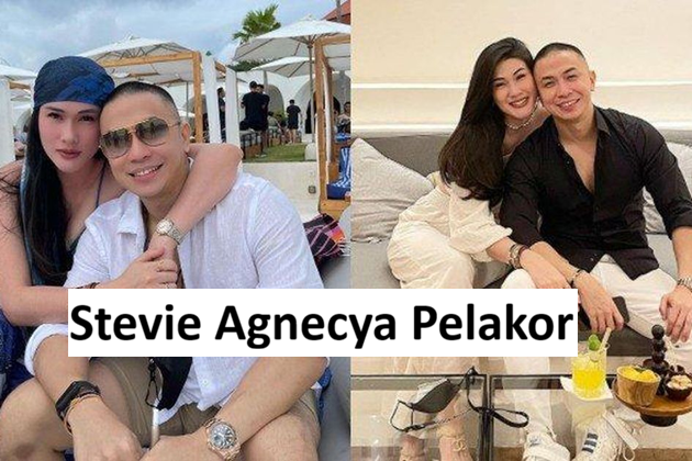 Stevie Agnecya Pelakor